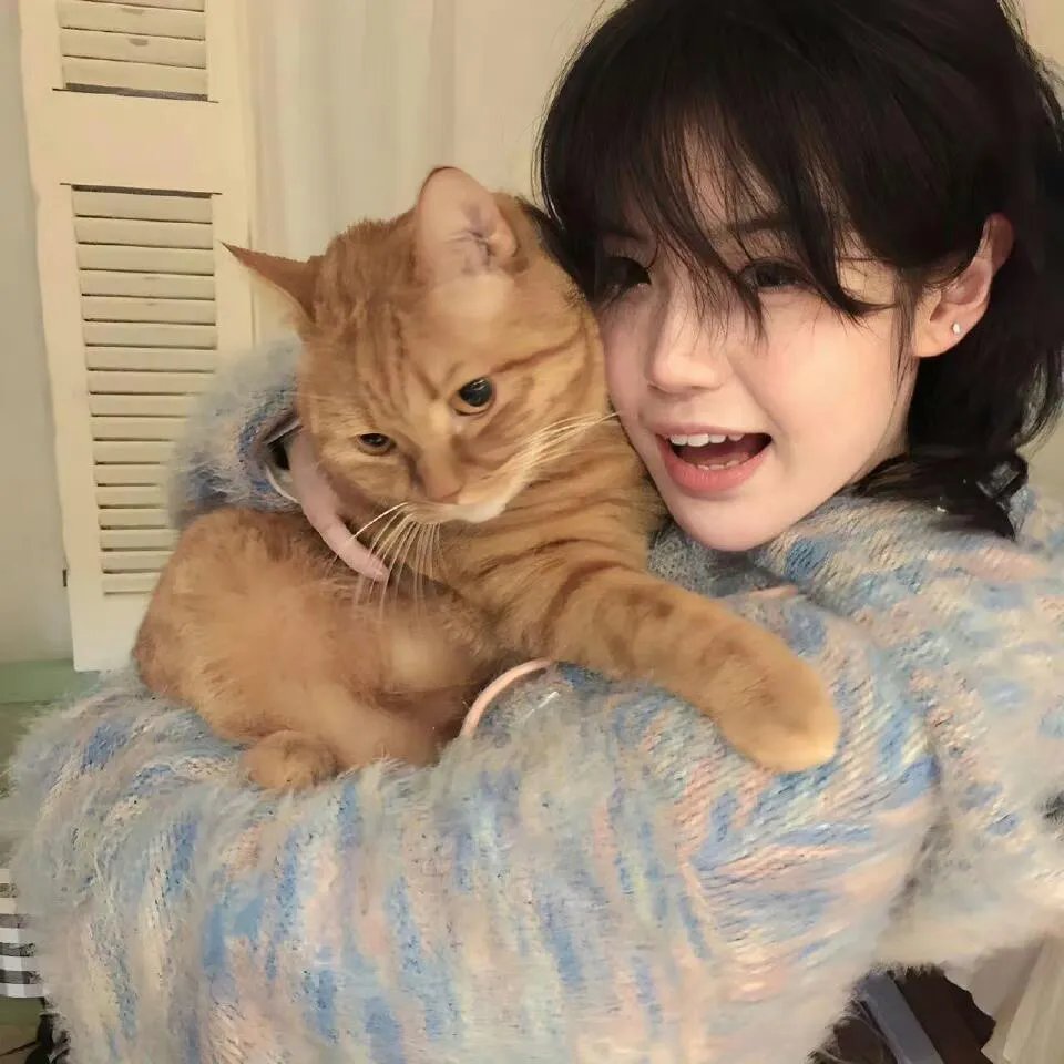 艾蜜丽的五件事